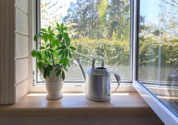 Garden Window Repair in Bronx